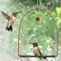 Songbird Essentials Copper Hummingbird Swing