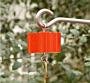 Wildlife Accessories Trap-It-Ant Trap, Red