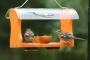 Bird's Choice Recycled Plastic Oriole Bird Feeder with Hanging Cable