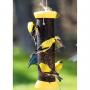 Birds Choice 12" Magnet Mesh Clever Clean Tube Feeder for Finches