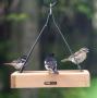 Bird's Choice Small Cedar Hanging Tray