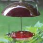 Bird's Choice HummerDome 8 Ounce Hummingbird Bird Feeder with Red Dome