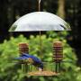 Bird's Choice Supper Dome Bird Feeder for Seed Suet and Mealworms