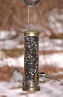 Aspects Antique Brass Small Seed Tube Bird Feeder w/ Quick Clean Base