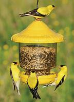 Songbird Essentials Clingers Only Bird Feeder (yellow)