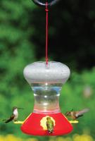 Songbird Essentials Fliteline 30 Ounce Hummingbird Bird Feeder