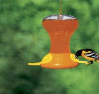 Songbird Essentials Fliteline Junior 30 Ounce Oriole Bird Feeder 