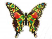 The Clark Collection Large Multi Colored Butterfly Door Screen Saver