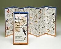Steven M. Lewers & Associates Sibley's Backyard Birds of The Northeast