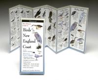 Steven M. Lewers & Associates Birds New England Coast Guide