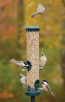 Aspects Quick-Clean Seed Large Spruce Bird Feeder