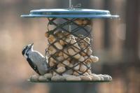 Bird's Choice Magnet Mesh Bird Feeder for Whole Peanuts in the Shell