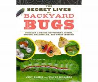 Workman Publishing The Secret Lives of Backyard Bugs