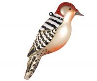 Cobane Studio Red Bellied Woodpecker Ornament