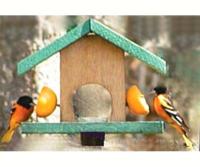 Songbird Essentials Oriole Bird Feeder, Cedar