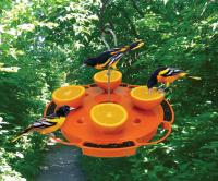 Songbird Essentials Ultimate Oriole Bird Feeder