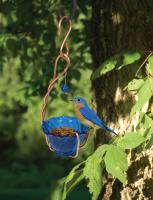 Songbird Essentials Copper Bluebird Mealworm Bird Feeder