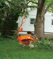 Songbird Essentials Copper Single Cup Jelly Oriole Bird Feeder 