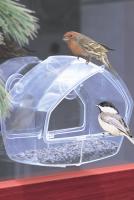Perky Pet Clear Wild Bird Window Bird Feeder with Suction Cups