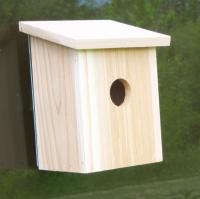 Songbird Essentials Nest View Bird House