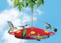 Perky Pet Oasis Hummingbird Bird Feeder