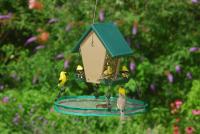 Songbird Essentials 16" Seed Hoop for Bird Feeder