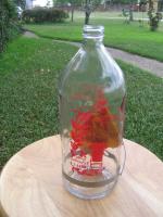 Best-1 Replacement 32 Ounce Bottle for Hummingbird Bird Feeders 