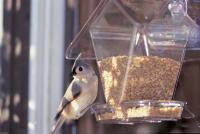 Aspects Cafe Window Bird Feeder