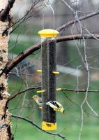 Woodlink Audubon Series Tails Up Finch Tube Bird Feeder