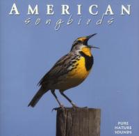 Naturescapes American Songbirds CD