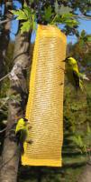 Songbird Essentials Finch Magic Thistle Sack Gold