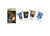Impact Photographics Playing Cards Birds North American