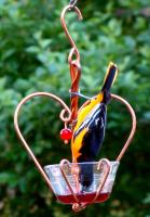 Songbird Essentials Love Birds Jelly Oriole Bird Feeder