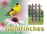 Songbird Essentials Goldfinch Sign