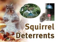Songbird Essentials Squirrel Resistant Sign
