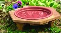 Songbird Essentials Mini 14 inch Garden Bird Bath With a Plastic Clay Tray