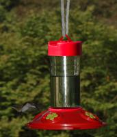 Songbird Essentials Dr. JB's 16 Ounce Clean Hummingbird Bird Feeder 