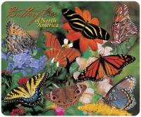 Impact Photographics Mouse Pad Butterflies