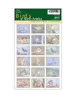 Impact Photographics Sticker Sheet Birds North America