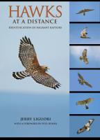 Princeton University Press Hawks At a Distance