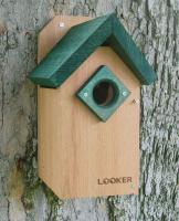 Songbird Essentials Bluebird Feeder with Green Roof