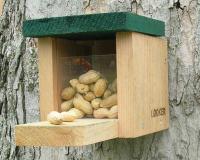 Songbird Essentials Squirrel Feeder Snack Box