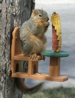 Songbird Essentials Recycled Poly Squirrel Table & Chair