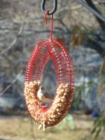 Songbird Essentials Whole Peanut Wreath Red Bird Feeder 