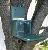 Songbird Essentials Recycled Plastic Squirrels Only Bird Feeder
