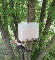 Songbird Essentials Suet Feeder Saver Feeder Large Bird Feeder 