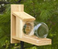 Songbird Essentials Cedar Squirrel Jar Feeder