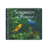 Naturescapes Music Songbirds of the Forest