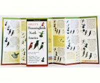 LEWERSHN156Sibley's Hummingbirds of N. America Folded Guide