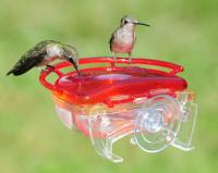 Aspects The Gem Window Hummingbird Bird Feeder